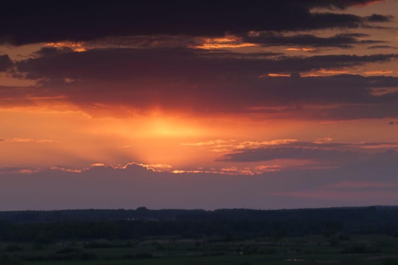 U Wilenskich Wizna Bagian luar foto